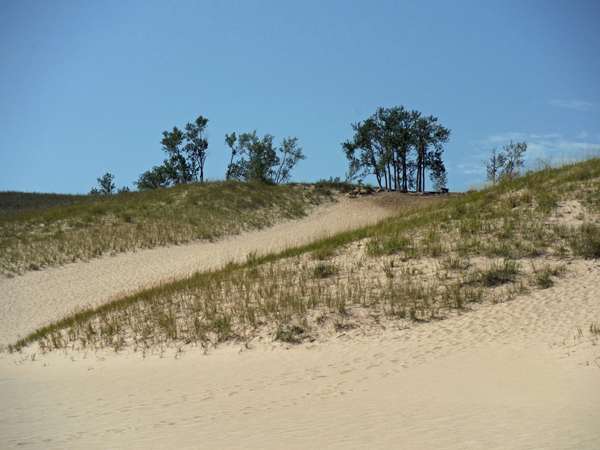 another dune to climb